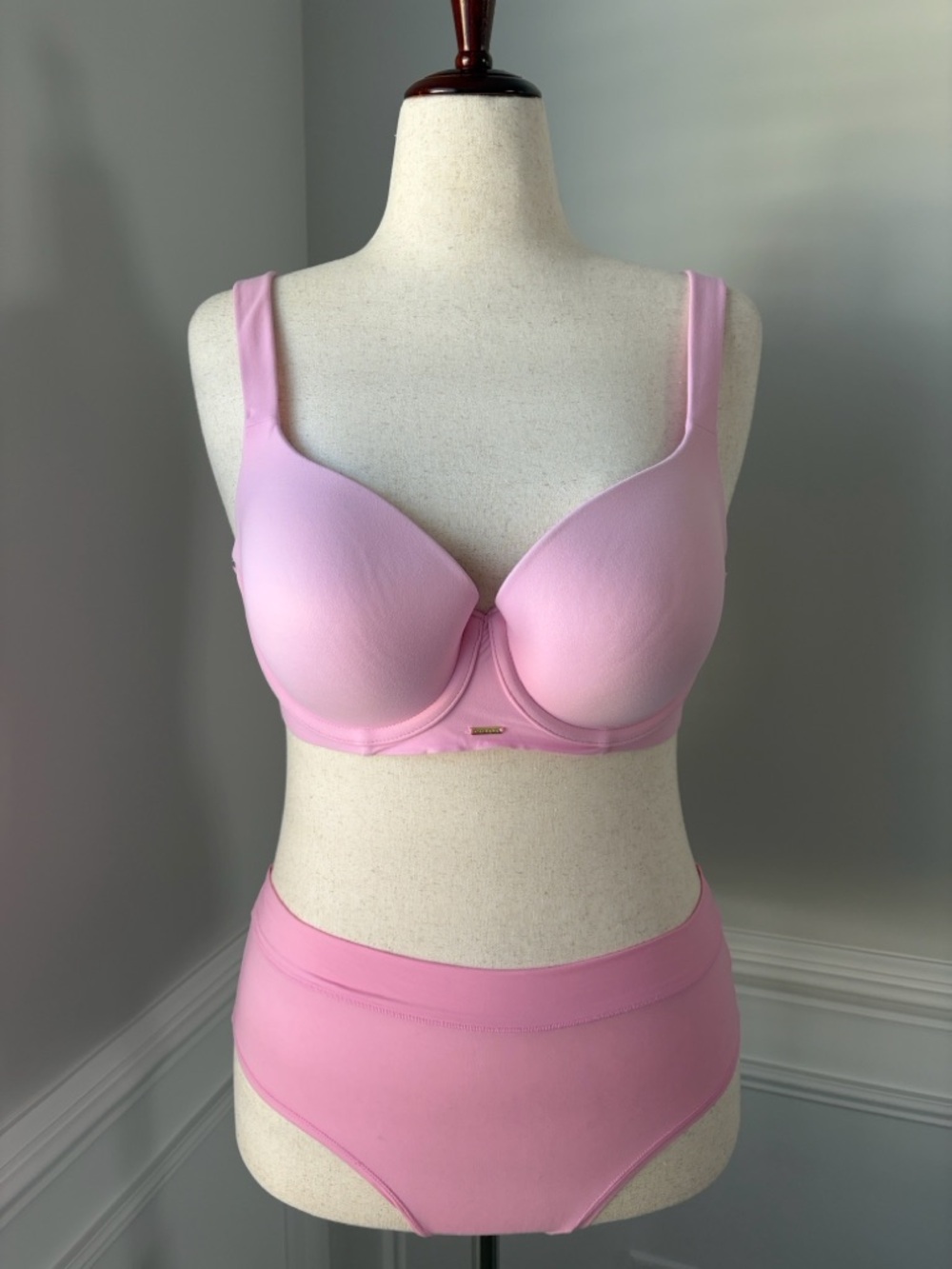 Cacique Comfort Bliss Cheeky Panty in Gigi Pink | size 18/20